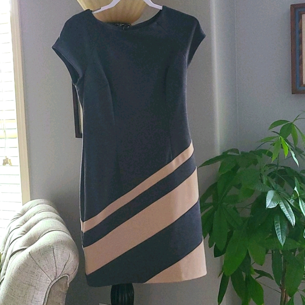 NWOT Gray Dress with beige diagonal stripes